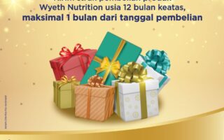 Wyeth nutrition loyalty program